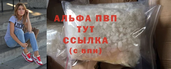 дживик Сясьстрой