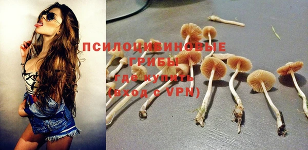 дживик Сясьстрой