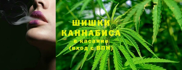 МДПВ Богданович