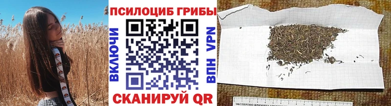 где можно купить   кракен рабочий сайт  мориарти официальный сайт  Кадников  Псилоцибиновые грибы прущие грибы 